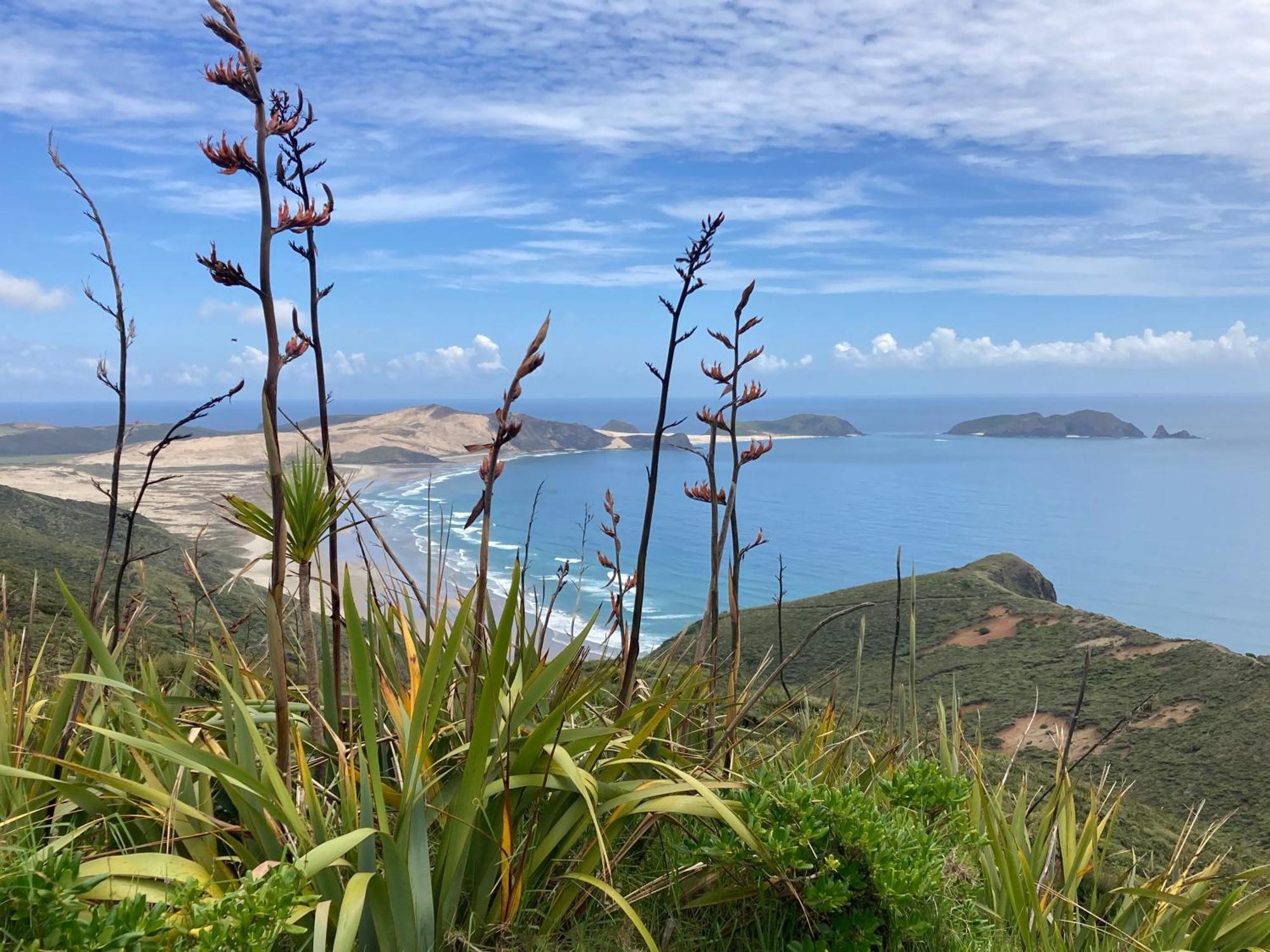Far North Panorama Villa Kaingaroa Exterior photo